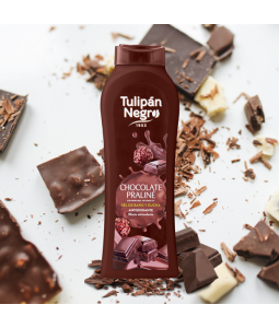 GEL CHOCOLATE PRALINÉ 650ML